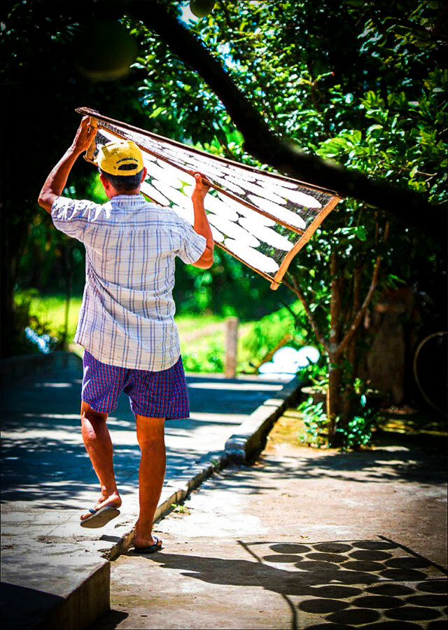 Learn Vietnam’s visa rules for Australians with expert guidance